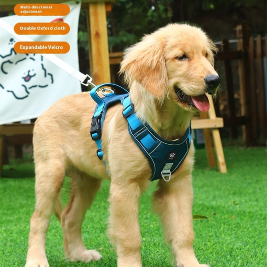Adjustable Reflective Pet Harness and Leash | LEASHNGO