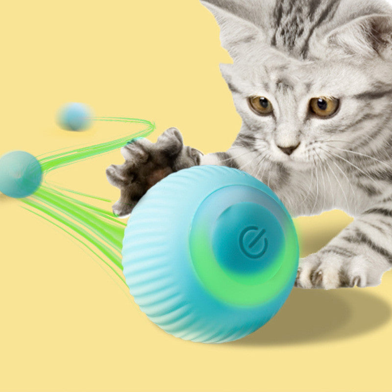 Self-rolling pet ball | BALLY