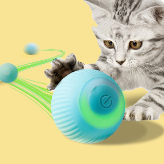 Self-rolling pet ball | BALLY