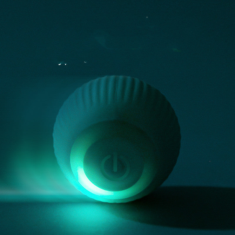 Self-rolling pet ball | BALLY